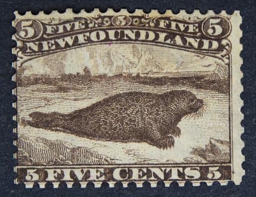 Newfoundland sg26 1865 - 1865, 5c