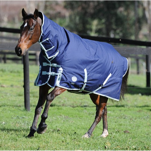 Weatherbeeta landa freestyle - weatherbeeta,