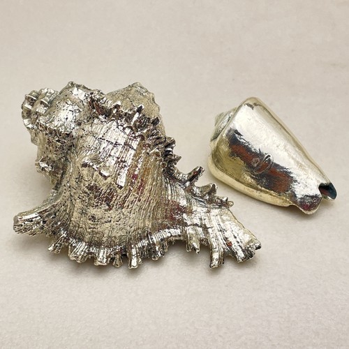 Silver tone seashell - silver,