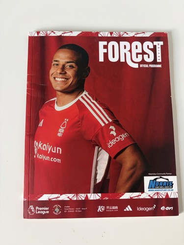 Nottingham forest luton - v,