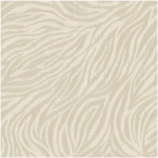 Zebra Animal Print Wallpaper