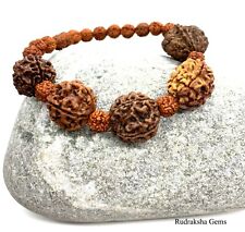 Rudraksha Rudraksh 2 3 4 5 6 Mukhi (Face) Beads Mala Bead Wrist band bracelet-AA