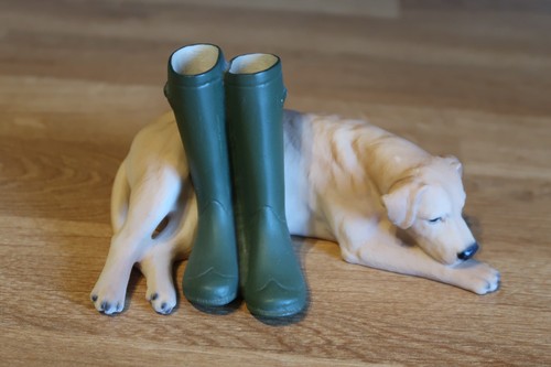 North light yellow labrador - light,