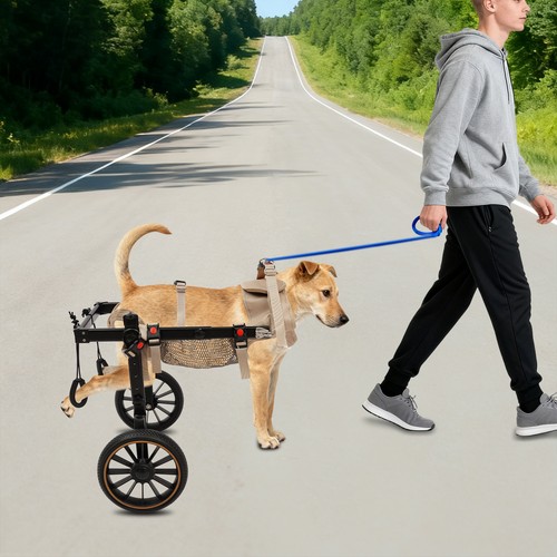 Xxl size pet - xxl,
