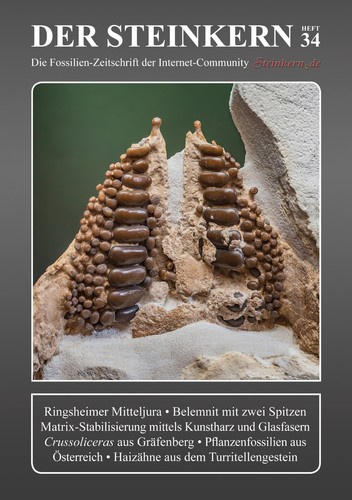 Der steinkern kronalpe - der, 34: