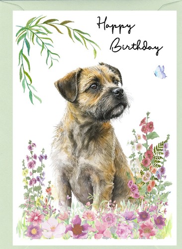 Border terrier dog - border,