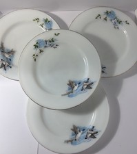 JAJ Pyrex - Wildfowl Flying