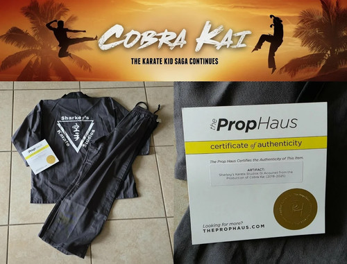 Cobra kai series - kai, tv