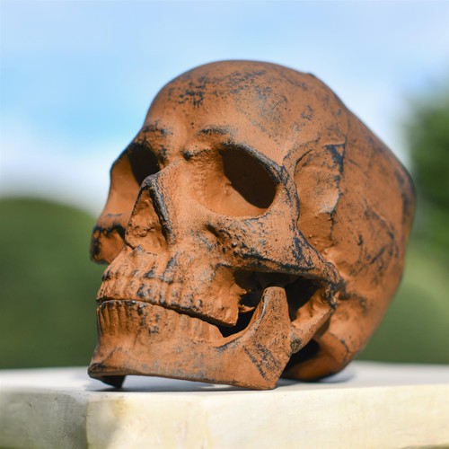 Dark rustic skull statue - rustic,