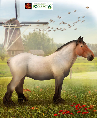 Dutch draft mare roan horse - mare,
