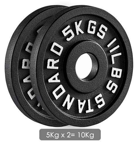 Cast iron weight plates set - iron,