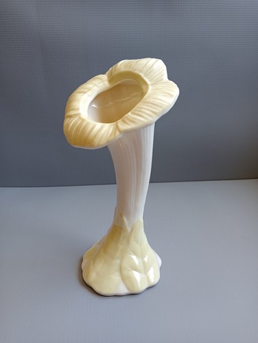 Vintage belleek porcelain - belleek,