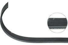 V Ribbed Belt For Fiat Scudo