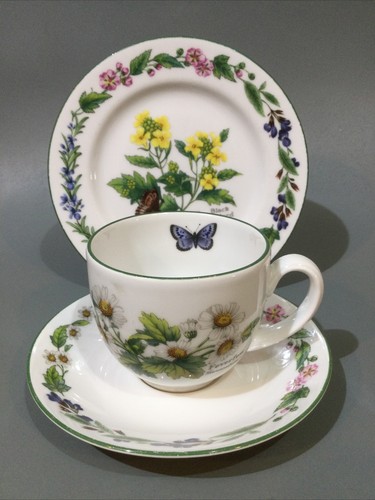 Royal worcester porcelain - porcelain, “
