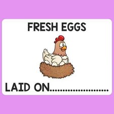 180 Egg Box Labels Boxes Printed Sticky Labels Chicken Nest Laid On