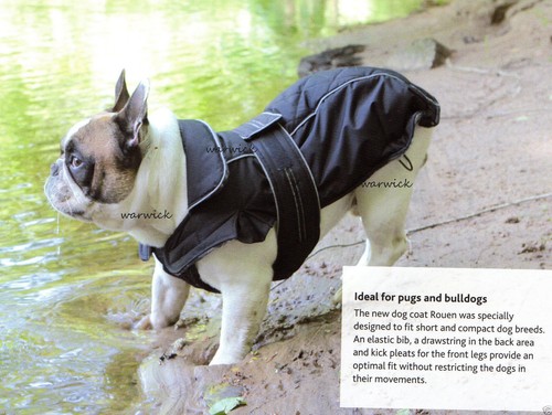 Pug french bulldog staffy bull - pug,