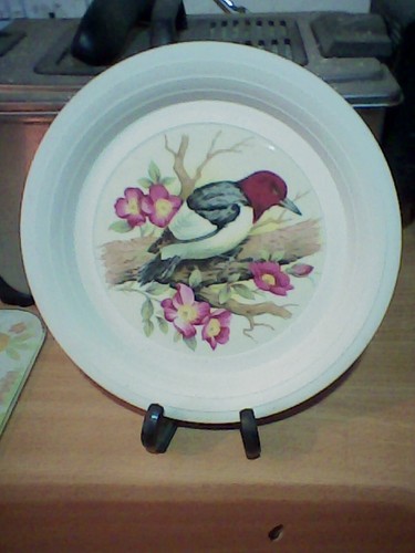 Hornsea concept decorative - 'concept',