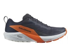 SALOMON Sense Ride 5 Running