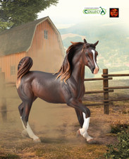 Arabian arab mare liver - arabian,