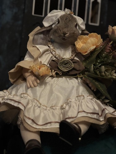 Wild rabbit roadkill taxidermy - wild,
