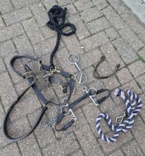 Leather Horse Rein Harness Riding D-RING CURVED MOUTHPIECE BIT Riding Kit