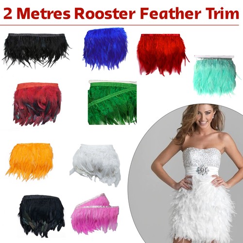 Metres long rooster tail - metres,