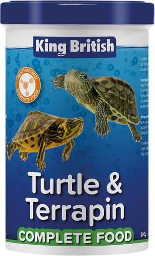 King british turtle - –,