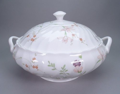 Wedgwood bone china campion - china,