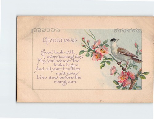 Postcard greetings - greetings,