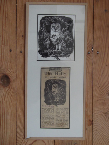 1954 barn owl - 1954, signed