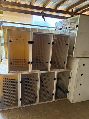 Stackable plastic proffecional - stackable,