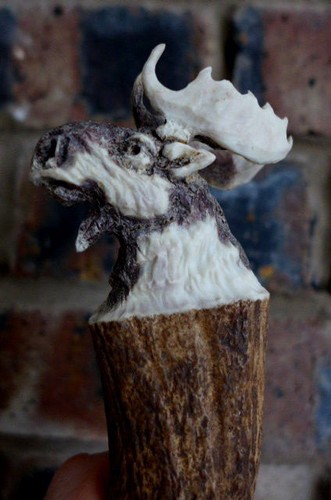 Antler handle with moose head - antler,