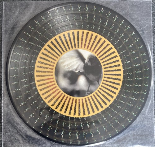 Kasabian happenings 2024 - happenings,