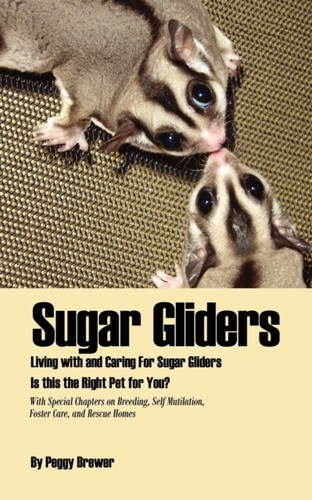 Brewer sugar gliders living - -,