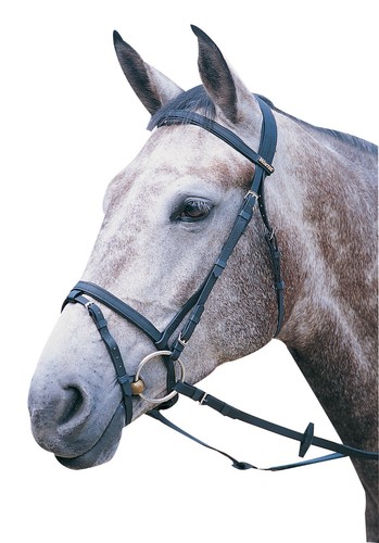 Wintec flash bridle - flash, synthetic