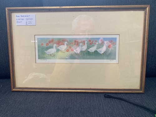 Limited edition print geese - limited,