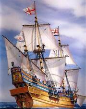 Bright Golden Hind Francis