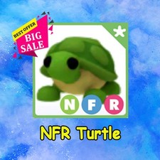 NFR Turtle 🔥 PET NEW HOT