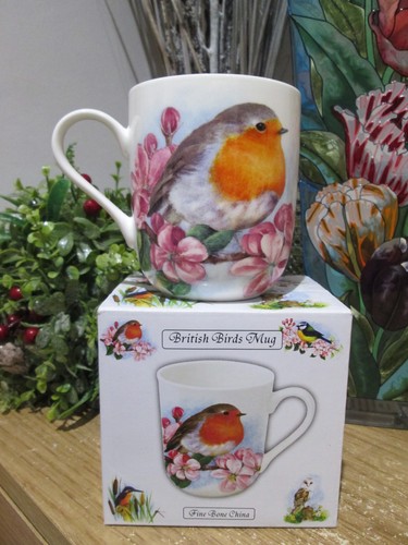 Beautiful bird robin fine - bird,