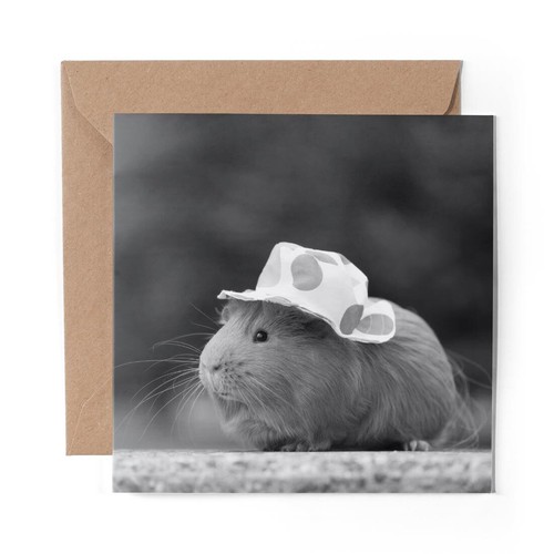 Blank greeting card - card,