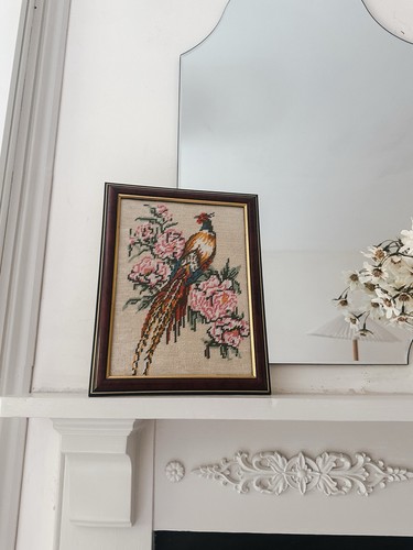 Framed vintage pheasant - vintage,