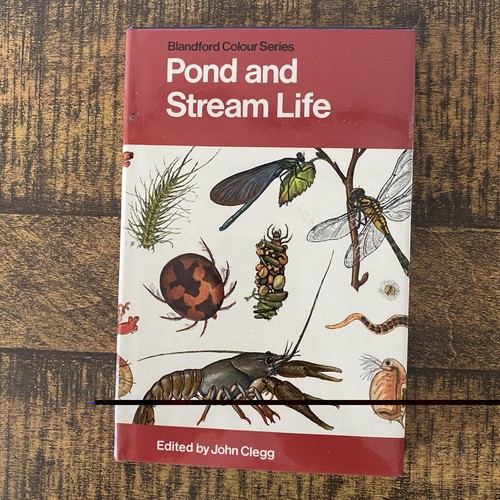 Pond and stream - pond, life,
