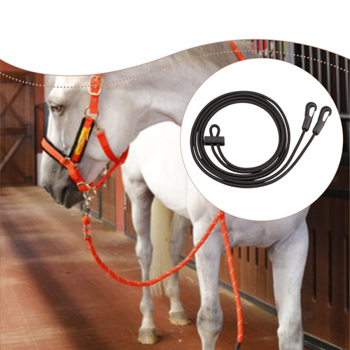 Horse roping reins - horse,