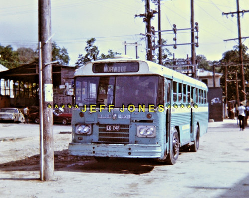 Original bus slide 16198 - original,