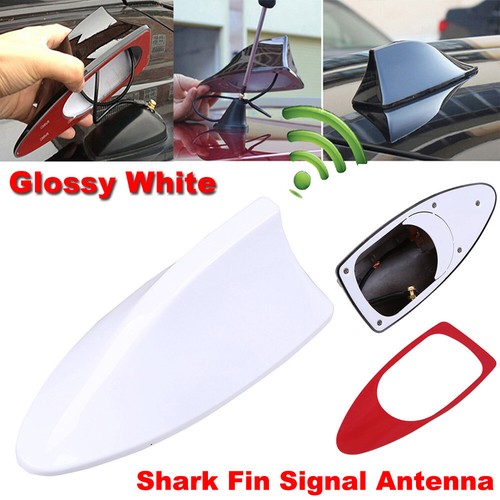 Universal white car - shark, fin