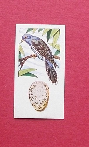 Trade card lyons maid - maid,