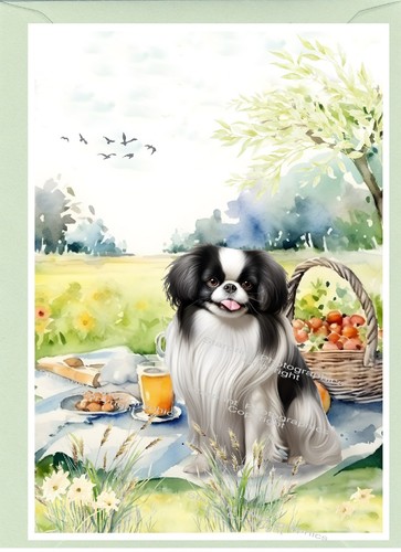 Japanese chin dog - chin,