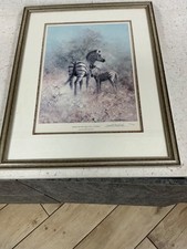David Shepherd 1931-2017 Zebra