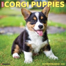 Corgi Puppies 2026 12" x 12"