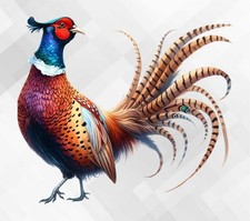 Pheasant Bird Wall vinyl